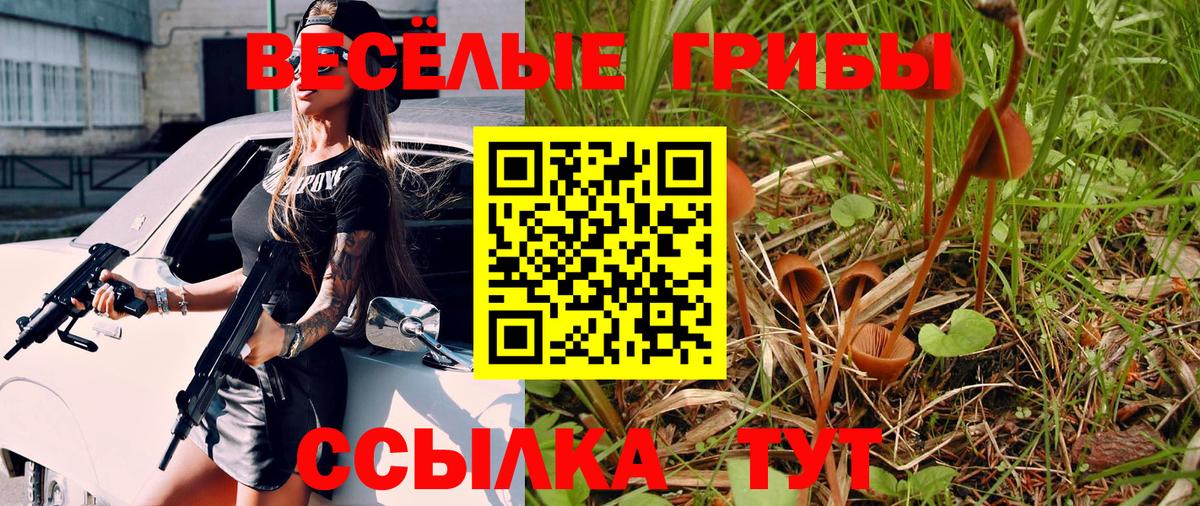 Псилоцибиновые грибы GOLDEN TEACHER  Вход с VPN  Астрахань 